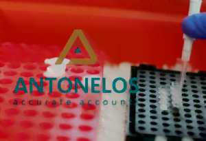 rapidtest - pcr picture